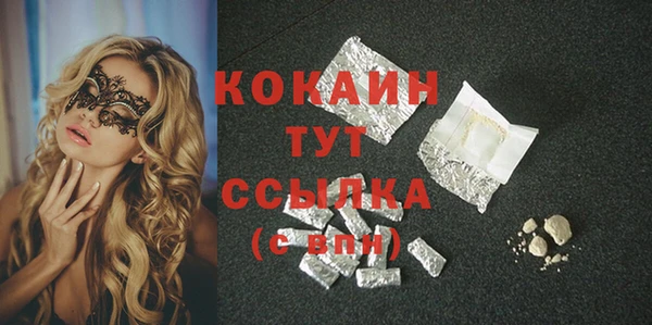 твердый Алексин