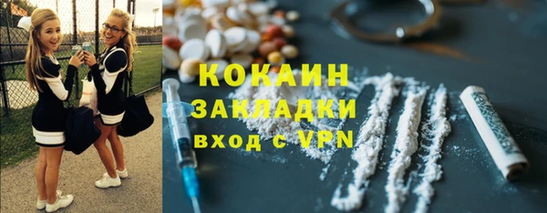 твердый Алексин