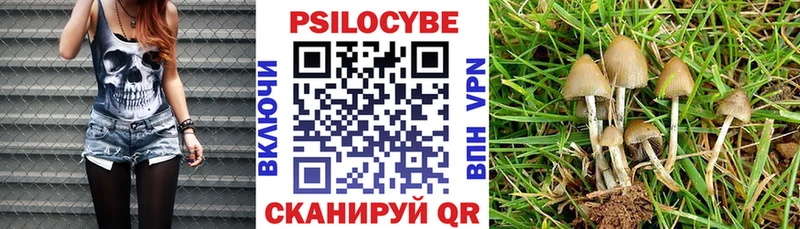 Псилоцибиновые грибы MAGIC MUSHROOMS  где купить наркотик  Арамиль 